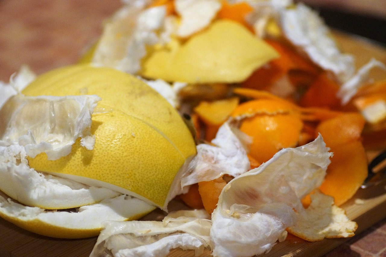 Zero-Waste Lunch Ideas for Kids and Adults